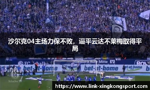 星空体育网站入口