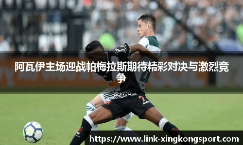 星空体育在线官网